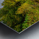 Autumn Reflections On Spring Creek Metal print