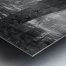 Virginia Beach Mysterious Cypress Swamp Metal print