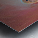 Sparrow meeting part two Metal print