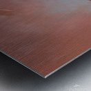 Sparrow meeting part one Metal print