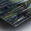 Ethereal Cypress Tree Morning  Reflections Metal print