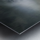 2025 NAS Oceana Air Show Metal print