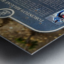 Torontos Raggae Roots Metal print