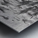 Sea Grass with Turtle at Sunset Oct 23 2025 at 1 25 12 PM Metal print