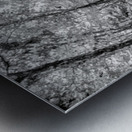 Old One Room Schoolhouse Concord Grayscale Metal print