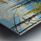 Probably Algonquin Park  Metal print