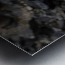 The Proposal Metal print