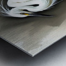 Snowy White Egret Nov 1 2025 at 9 23 22 PM Metal print