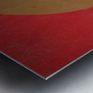 1960s North Carolina State Football Art Metal print