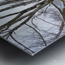 00Cover-Bussa Orchards in Winter Metal print