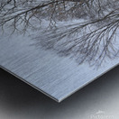 12Dec Welles Shipman Ward Metal print