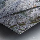 02Feb Cotton Hollow Metal print