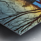 01Jan South Glastonbury Metal print