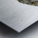 THE LIVING CLIFF Metal print