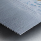 EMPRESS OF THE ARCTIC 3 Metal print