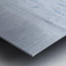 EMPRESS OF THE ARCTIC Metal print