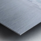 EMPRESS OF THE ARCTIC 7 Metal print