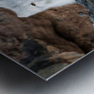 THE QUIET HUNT Metal print