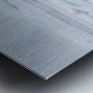 EMPRESS OF THE ARCTIC 2 Metal print