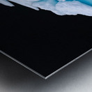 JELLYFISH ICEBERG Metal print