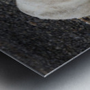 ARCTIC MAJESTY Metal print