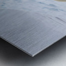 EMPRESS OF THE ARCTIC 4 Metal print