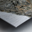 AVIAN HIGH RISE Metal print