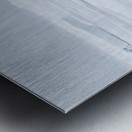 EMPRESS OF THE ARCTIC 9 Metal print