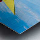 THE BIG CHICKEN Metal print