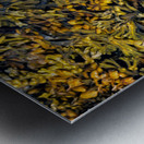 TAPESTRY DU FRANC Metal print