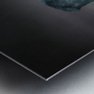 MONSTROUS Metal print