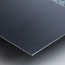 INUIT VILLAGE Metal print