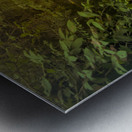 Serene Cypress Forest Sunrise Reflection Metal print