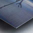 SUN VOYAGER Metal print