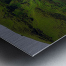 SK GAFOSS Metal print