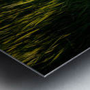 PUFFIN ON A STROLL Metal print