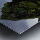 ARNARSTAPI Metal print