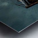 OUT OF ITS ELEMENT Metal print