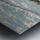 community Metal print