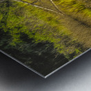 Southern Marsh Mirrored Reflections Metal print