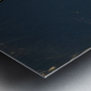 1950s Arizona Cactus Basketball Cartoon Art Metal print