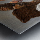 IMG 4228 Two Mount Man mama grizzly in her cub Metal print