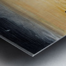 IMG 4323 Big nose bear cubs and a farmer Metal print