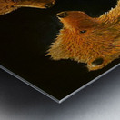 IMG 0266 grizzly bears found love Metal print