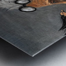 IMG 4234 Bird hits motorcycle rider Metal print