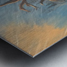 IMG 4215  Three bears playing in a tall pine tree Metal print