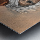 IMG 4233 Mountain man getting a hug by a grizzly Metal print