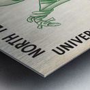 1949 North Texas Eagles Football Cover Art Metal print