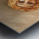 IMG 4235 orange hair mountain man  and bear Metal print