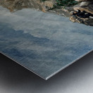 IMG 4221 -mama grizzly and cub Metal print